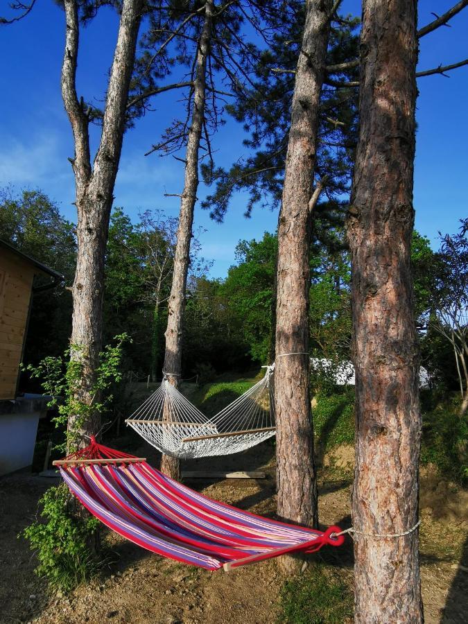 Active Chillax Oasis Apartments Анкаран Екстер'єр фото